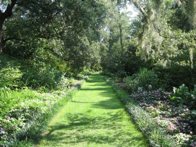 Bridal Walkway Airlie Gardens